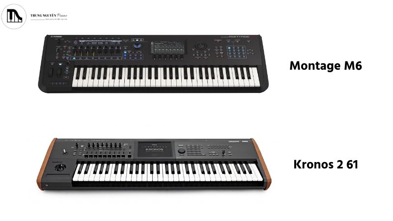Bàn phím FSX của Yamaha Montage M6 và Natural Touch của Korg Kronos 2 61