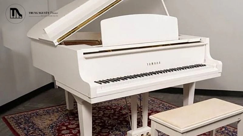 Chơi nhạc Baroque trên piano hiện đại mang lại cả thuận lợi và khó khăn