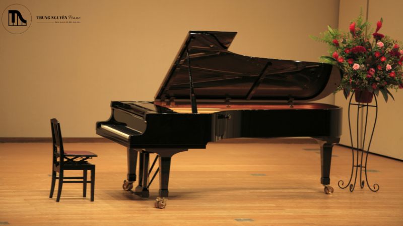 Dịch vụ sửa chữa hệ thống Pedal Lyre: Hết kêu, lỏng lẻo 7 Cách bảo dưỡng Grand Piano