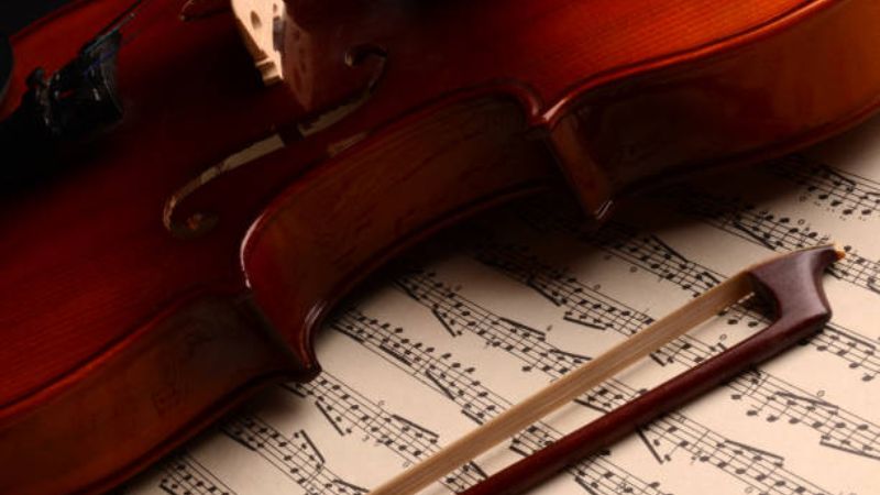 Độ ẩm cao ở Việt Nam khiến gỗ đàn Cello/Violin dễ trương nở, biến dạng