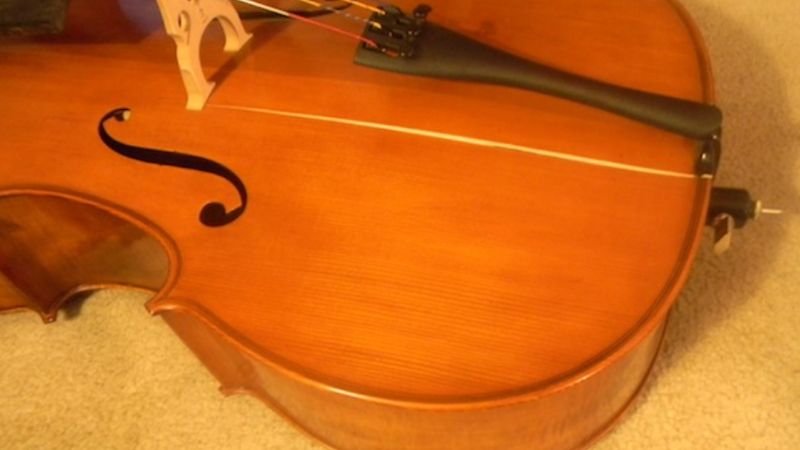 Vết nứt dọc thớ gỗ trên mặt đàn violin do thay đổi độ ẩm