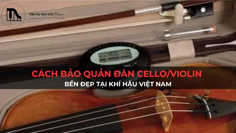 Cách bảo quản đàn Cello/Violin bền đẹp tại khí hậu Việt Nam