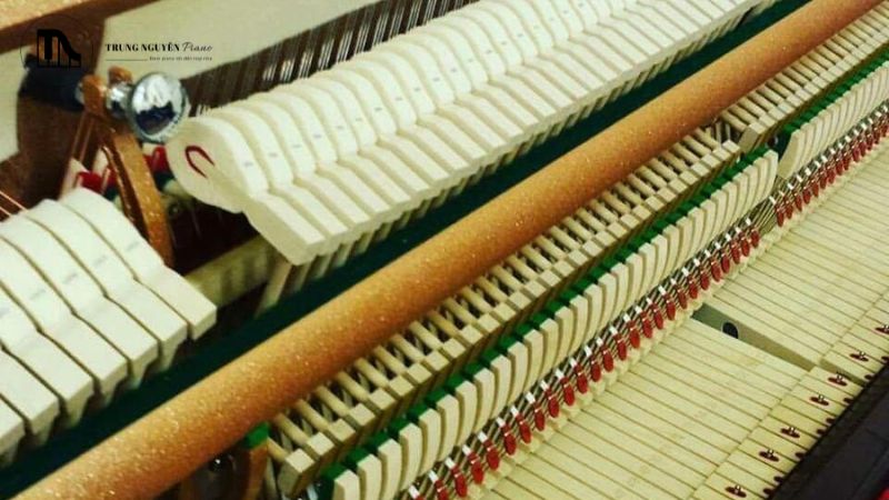 Voicing là một công việc phức tạp, đòi hỏi sự am hiểu sâu sắc