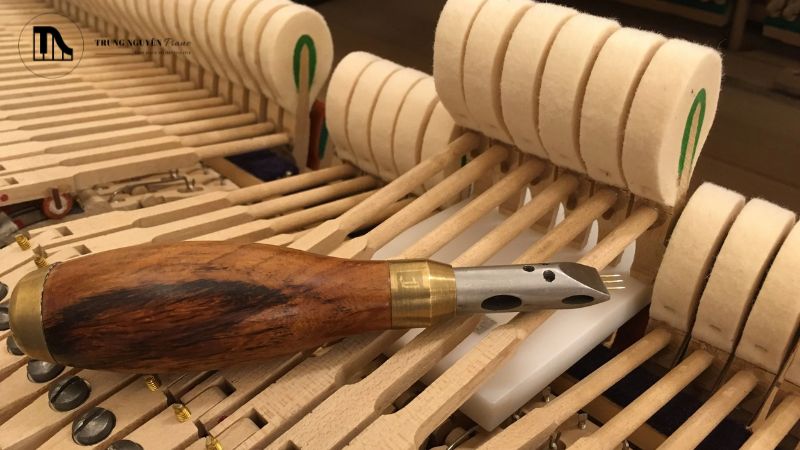 Voicing định kỳ 3-5 năm/lần hoặc ngay khi phát hiện âm thanh chói gắt