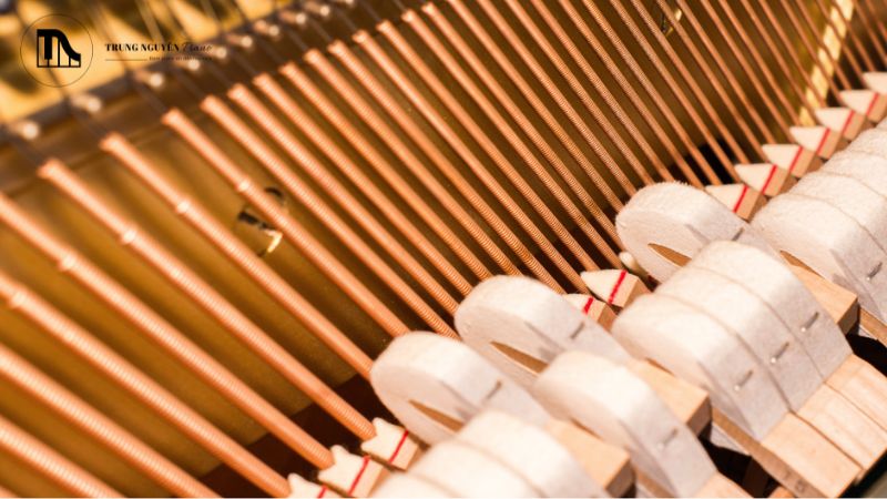 Một chiếc búa bị chai cứng khi gõ vào dây sẽ tạo ra âm thanh chói gắt