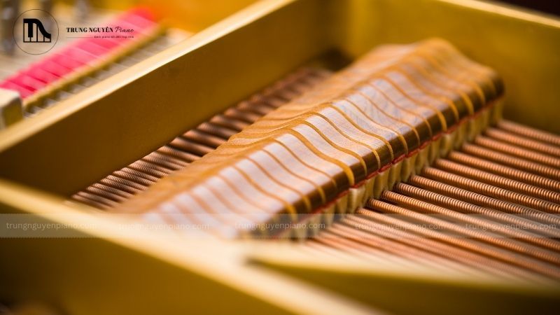 Các búa đàn sẽ không bị mòn đồng đều