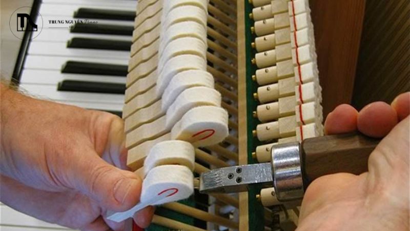 Voicing là nghệ thuật điều chỉnh độ cứng