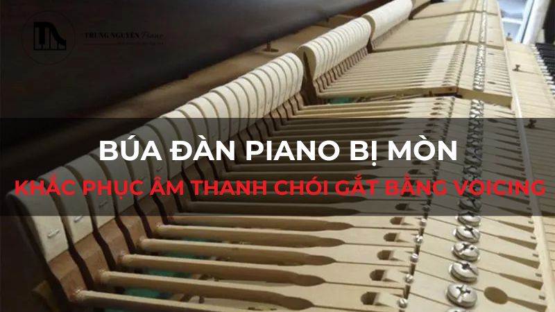 Búa đàn Piano bị mòn: Khắc phục âm thanh chói gắt bằng Voicing