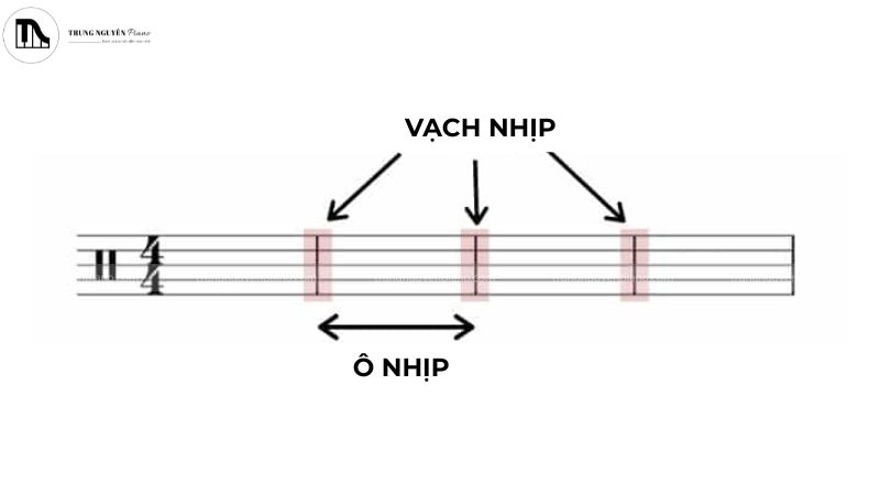 Cách đọc sơ đồ trống toàn diện cho người mới bắt đầu 4 Cấu trúc ô nhịp giúp bản nhạc trống trở nên ngăn nắp và rõ ràng