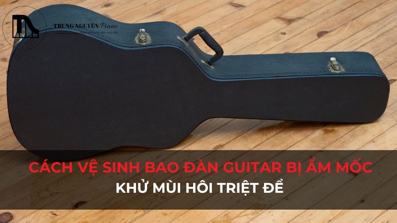 Cách vệ sinh bao đàn Guitar bị ẩm mốc, khử mùi hôi triệt để