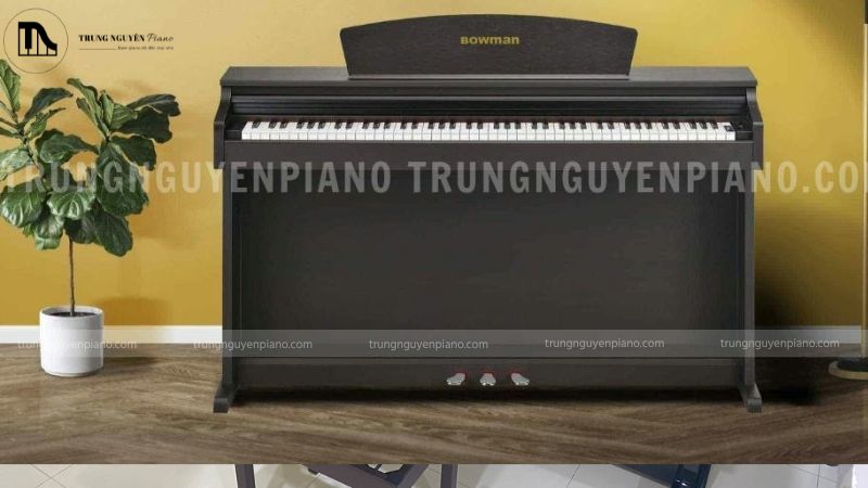 Piano Điện BOWMAN CX-230SR