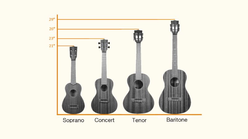 Bốn loại ukulele phổ biến: Soprano, Concert, Tenor, Baritone với âm sắc khác nhau