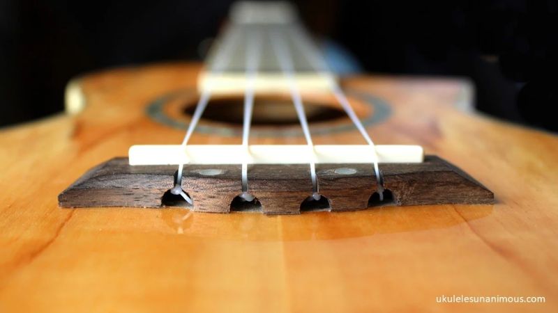 Ngựa đàn ukulele truyền rung động từ dây xuống mặt đàn tạo âm thanh
