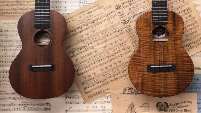 Gỗ nguyên tấm và gỗ ép trong cấu tạo đàn ukulele sẽ ảnh hưởng đến âm sắc