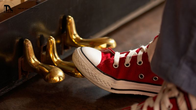 Dịch vụ sửa chữa hệ thống Pedal Lyre: Hết kêu, lỏng lẻo 2 Cấu tạo của hệ thống Pedal Lyre