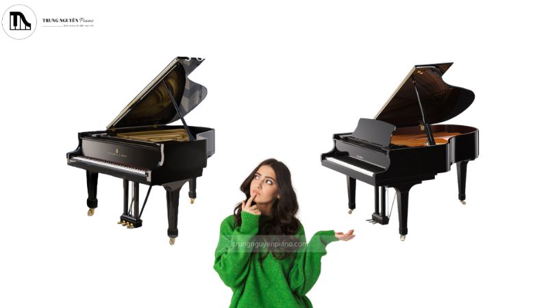 Cần so sánh chất lượng thay vì chỉ dựa vào thương hiệu