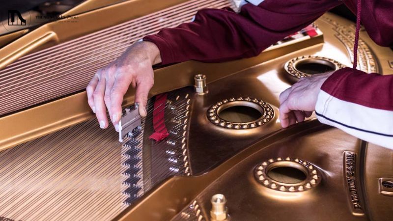 Chuẩn bị trước khi kiểm tra Soundboard piano 