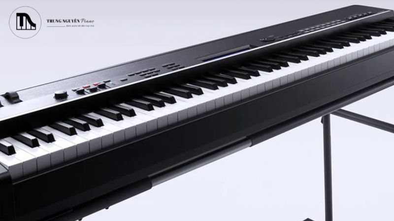 Hợp âm trục (pivot chord) là một hợp âm có mặt trong cả giọng cũ và giọng mới