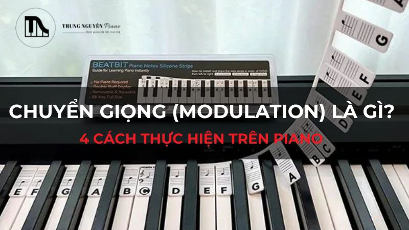 Chuyển giọng (Modulation) là gì? 4 cách thực hiện trên Piano