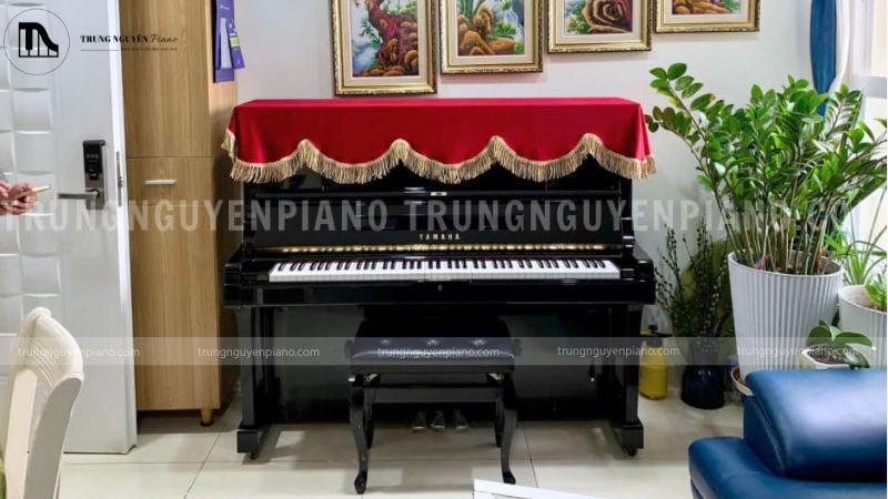Vì sao nên mua piano nội địa Nhật