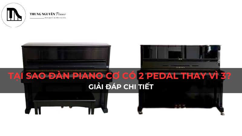 Tại sao đàn Piano Cơ 2 pedal thay vì 3? Giải đáp chi tiết