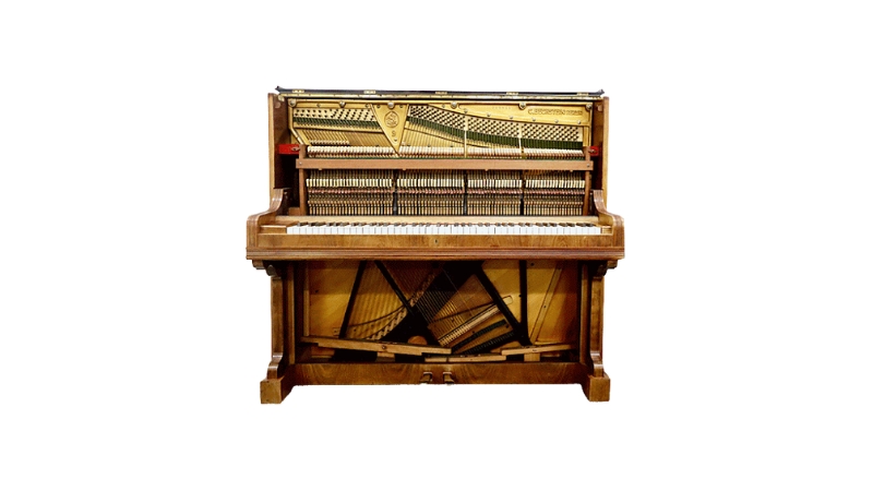Đàn Piano Cơ Bị Côn Trùng Xâm Nhập: Cách Xử Lý & Phòng Ngừa 1 Bảo dưỡng định kỳ giúp phòng tránh gián và kiến xâm nhập vào đàn piano