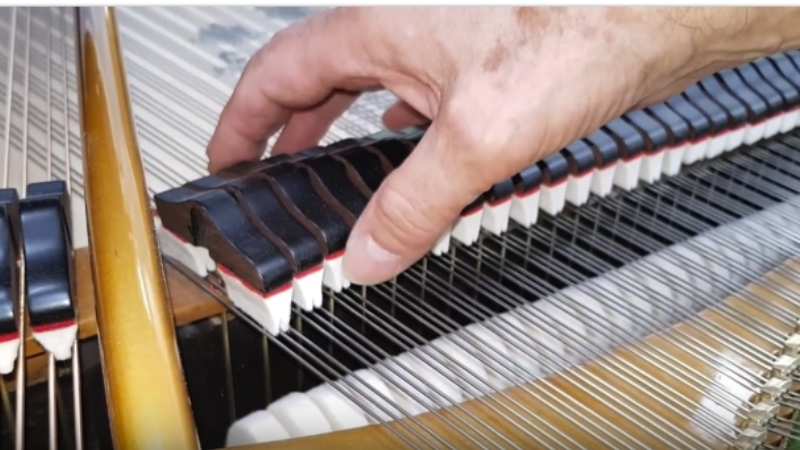 Đàn Piano Cơ Bị Côn Trùng Xâm Nhập: Cách Xử Lý & Phòng Ngừa 2 Hư hỏng do côn trùng khiến chi phí sửa chữa piano cơ tăng cao