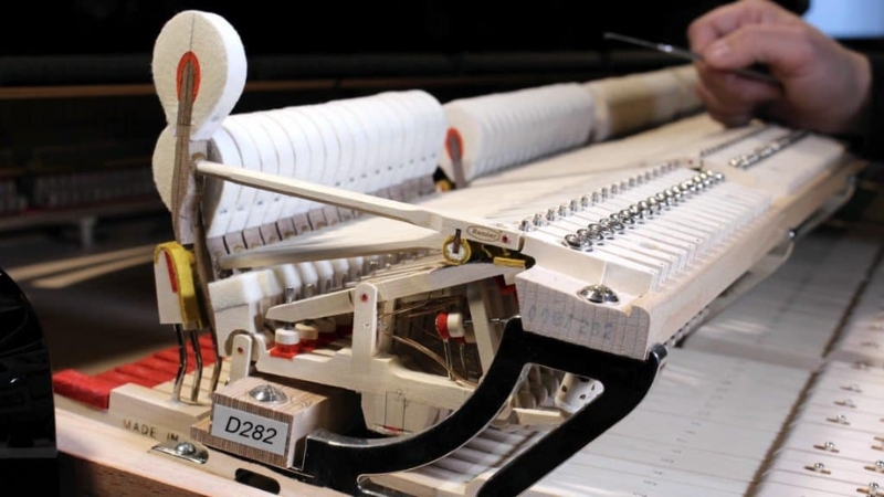 Đàn Piano Cơ Bị Côn Trùng Xâm Nhập: Cách Xử Lý & Phòng Ngừa 4 Kỹ thuật viên thẩm định đàn piano đã qua sử dụng trước khi mua