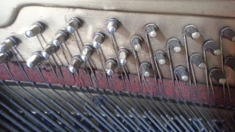 Chốt giữ dây chắc chắn giúp đàn duy trì cao độ ổn định lâu dài