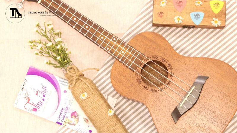 7 dấu hiệu cảnh báo đàn Ukulele cần được chăm sóc đặc biệt 1 Cần chăm sóc và bảo dưỡng Ukulele thường xuyên