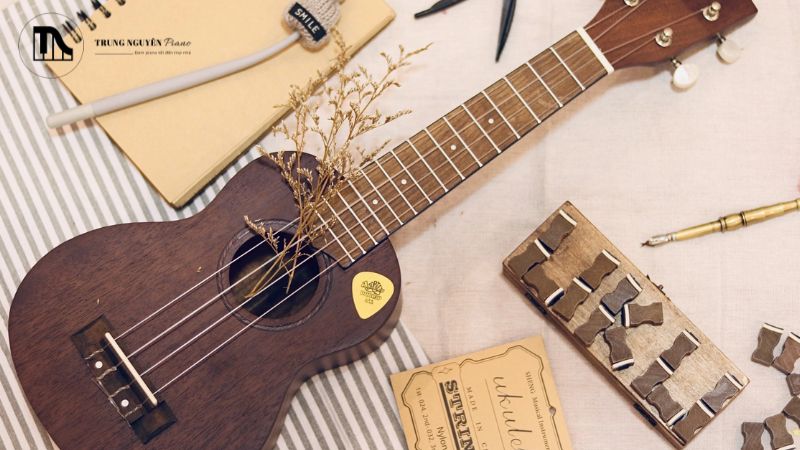 7 dấu hiệu cảnh báo đàn Ukulele cần được chăm sóc đặc biệt 2 Dây đàn bị rè khi bạn bấm nốt hoặc gảy, âm thanh không còn trong và sạch
