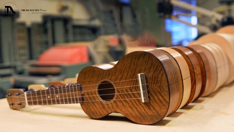 7 dấu hiệu cảnh báo đàn Ukulele cần được chăm sóc đặc biệt 4 Action là một thuật ngữ quan trọng, quyết định cảm giác thoải mái khi chơi đàn.