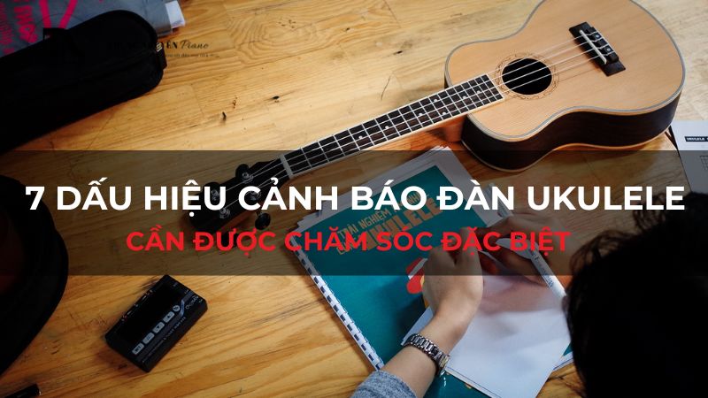 7 dấu hiệu cảnh báo đàn Ukulele cần được chăm sóc đặc biệt
