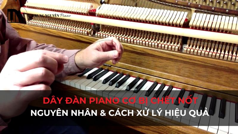 Dây đàn piano cơ bị chết nốt: Nguyên nhân & cách xử lý hiệu quả