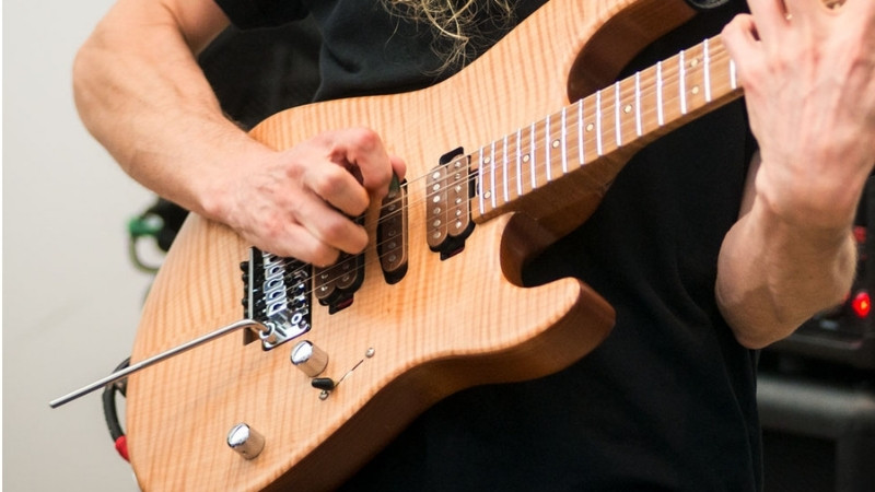 Gỗ Ngựa Đàn Guitar: Rosewood, Ebony & Ảnh Hưởng Tới Âm Thanh 5 Ngựa đàn guitar trong hệ sinh thái gỗ, ảnh hưởng đến sự hòa quyện âm sắc