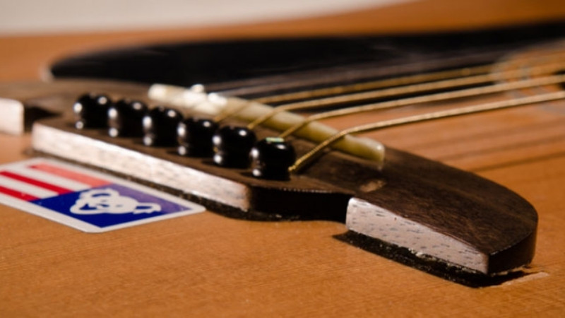 Gỗ Ngựa Đàn Guitar: Rosewood, Ebony & Ảnh Hưởng Tới Âm Thanh 7 Lựa chọn gỗ ngựa đàn guitar theo mục tiêu âm thanh và chi phí