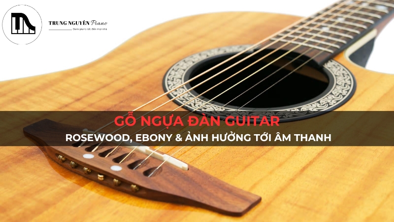Gỗ Ngựa Đàn Guitar: Rosewood, Ebony & Ảnh Hưởng Tới Âm Thanh