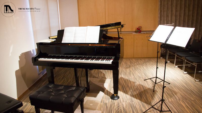 Hướng dẫn chọn piano theo diện tích phòng