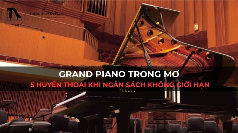 Grand Piano Trong Mơ: 5 Huyền Thoại Khi Ngân Sách Không Giới Hạn