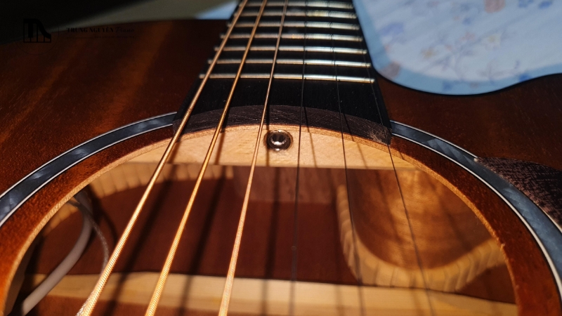 Gỗ thịt (Solid Top) cho âm thanh vang, ấm