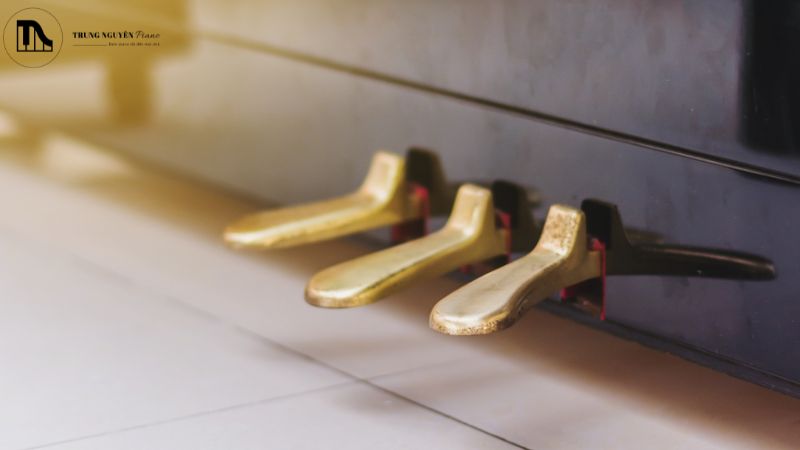 Dịch vụ sửa chữa hệ thống Pedal Lyre: Hết kêu, lỏng lẻo 1 Tìm hiểu về hệ thống Pedal Lyre