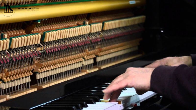 Định nghĩa về dây đàn chết