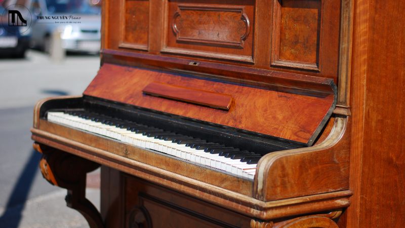 Ánh mặt trời làm hư hại lớp sơn