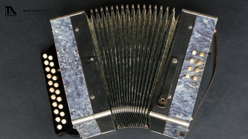 Bảo quản ống hơi (Bellows) Accordion: Hướng dẫn tránh hư hỏng 4 Mang đàn Accordion đi sửa khi nào