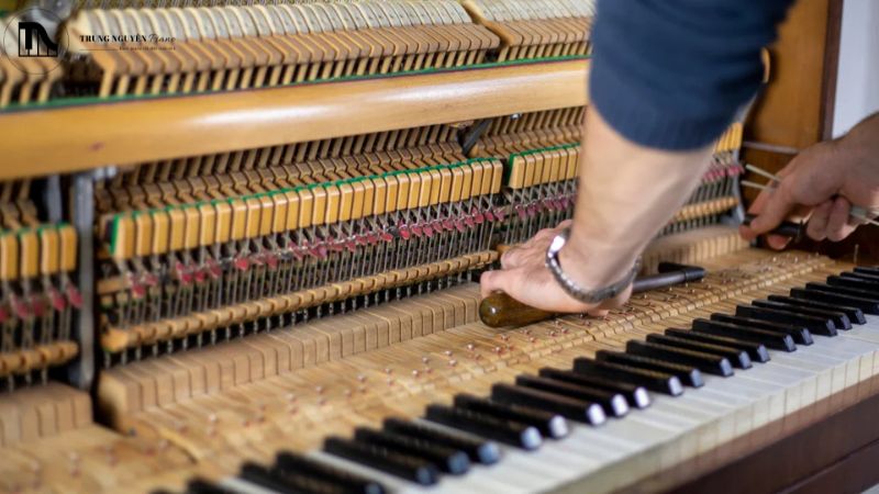 Nên liên hệ kỹ thuật viên piano khi nào