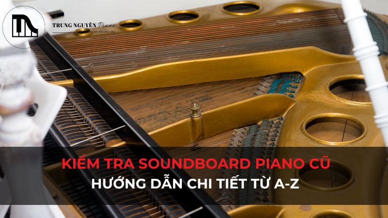 Kiểm tra Soundboard Piano cũ: Hướng dẫn chi tiết từ A-Z