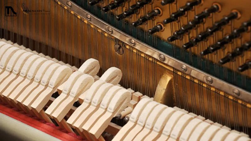 Cách khắc phục tạm thời dây đàn chết nốt