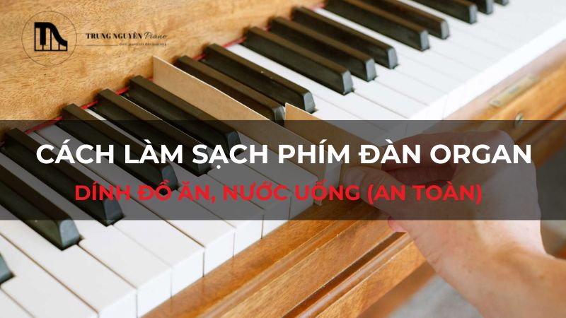 Cách làm sạch phím đàn Organ dính đồ ăn, nước uống (An Toàn)