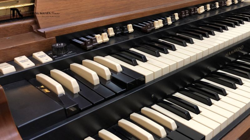 Lịch sử đàn Organ: Từ Hydraulis đến Organ nhà thờ & Hammond 9 Organ điện tử có nhiều dạng