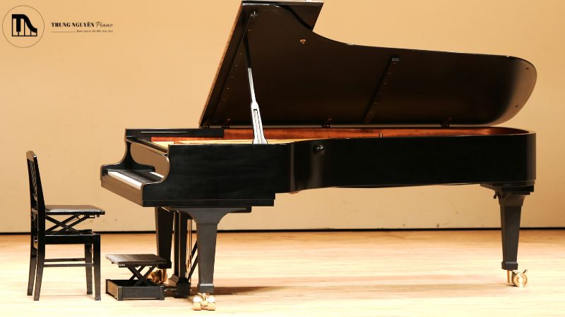 Dịch vụ sửa chữa hệ thống Pedal Lyre: Hết kêu, lỏng lẻo 8 Lựa chọn đơn vị sửa pedal piano uy tín